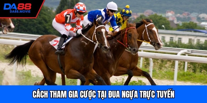 Cách tham gia cược tại đua ngựa trực tuyến